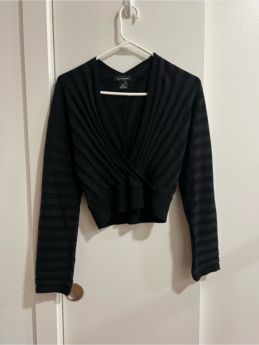 Club Monaco Crop Top